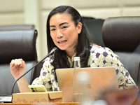 Wakil_Ketua Komisi VII DPR RI Rahayu Saraswati saat Komisi VII Raker dengan Menteri Perindustrian (Dok: Fraksi Gerindra)